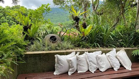 KAYA Rehab and Recovery .
